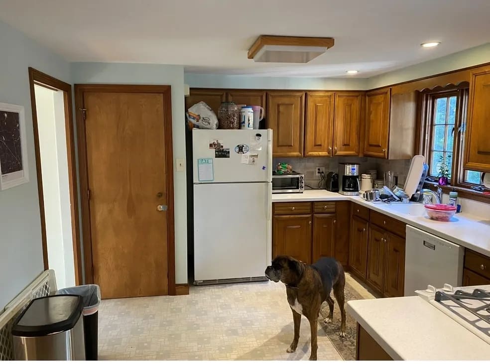 A dog standing in the middle of a kitchen.