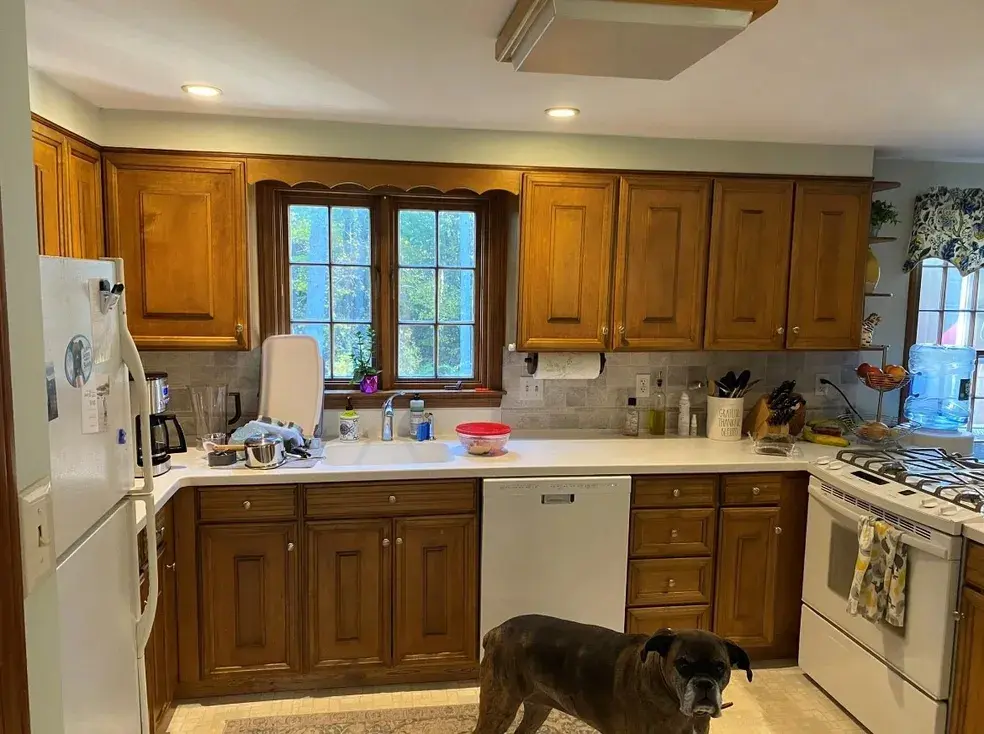 A dog standing in the middle of a kitchen.